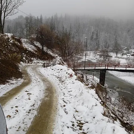Садиба Федорчуків За Рікою1 Sheshory Exterior photo
