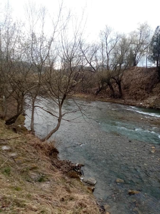 度假居 федорчуків за рікою1