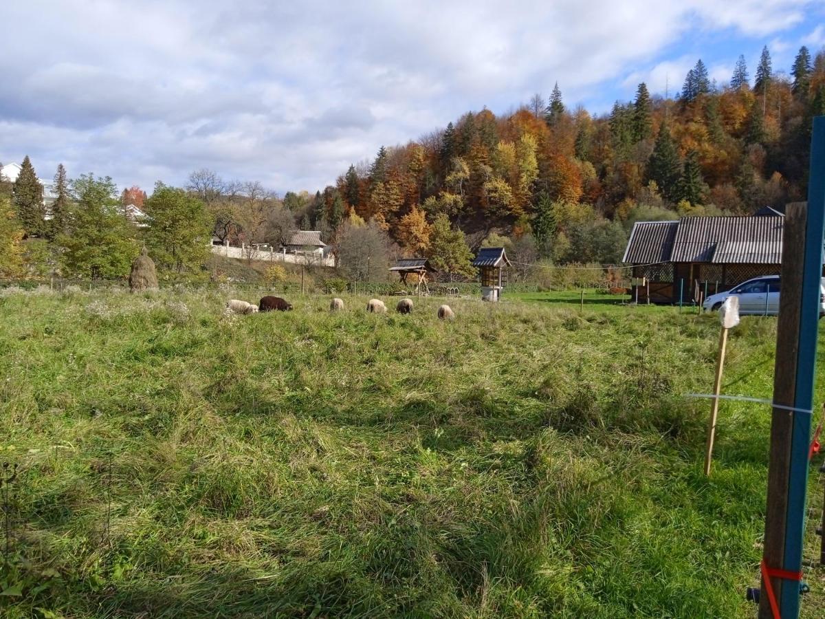 Holiday home федорчуків за рікою1 *